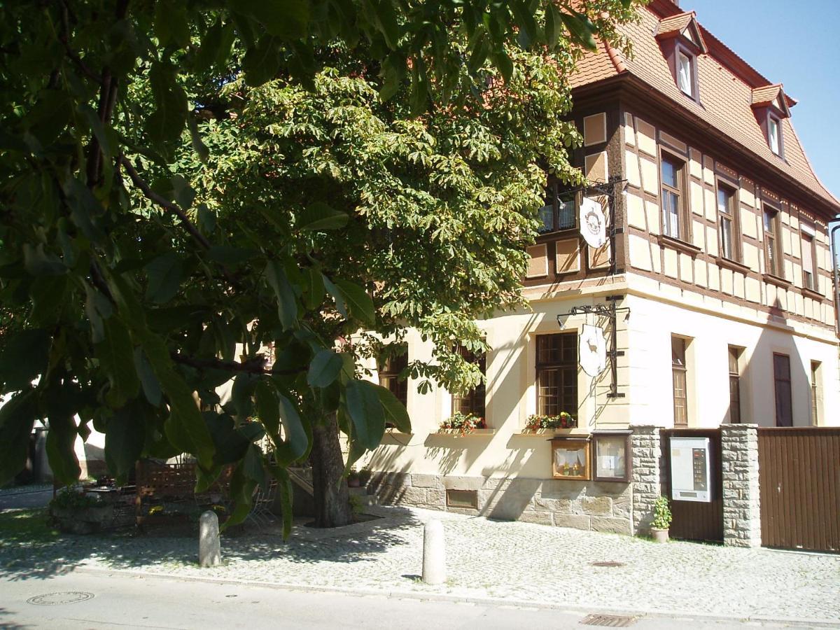 Gasthof Pension Zum Goldenen Hirschen 布格贝恩海姆 外观 照片